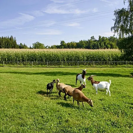 Dirnberg Casa de hóspedes 5*