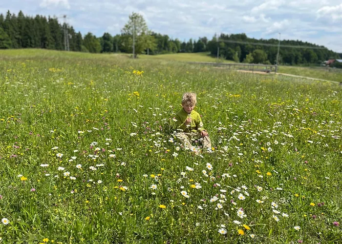 ゲストハウス Dirnberg Amerang